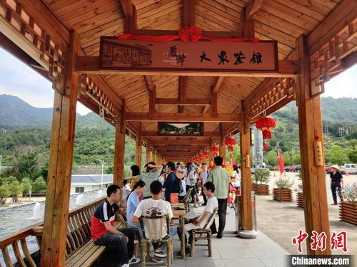 福建首家高速服務區大眾茶館開業 探索“茶旅融合”新路徑，為旅途添一縷茶香